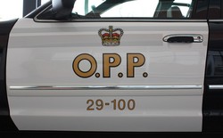 Car 29-100: 2009 Ford Crown Victoria Police Interceptor